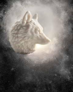 Tête de Loup