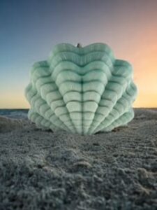 Grand Coquillage Bénitier